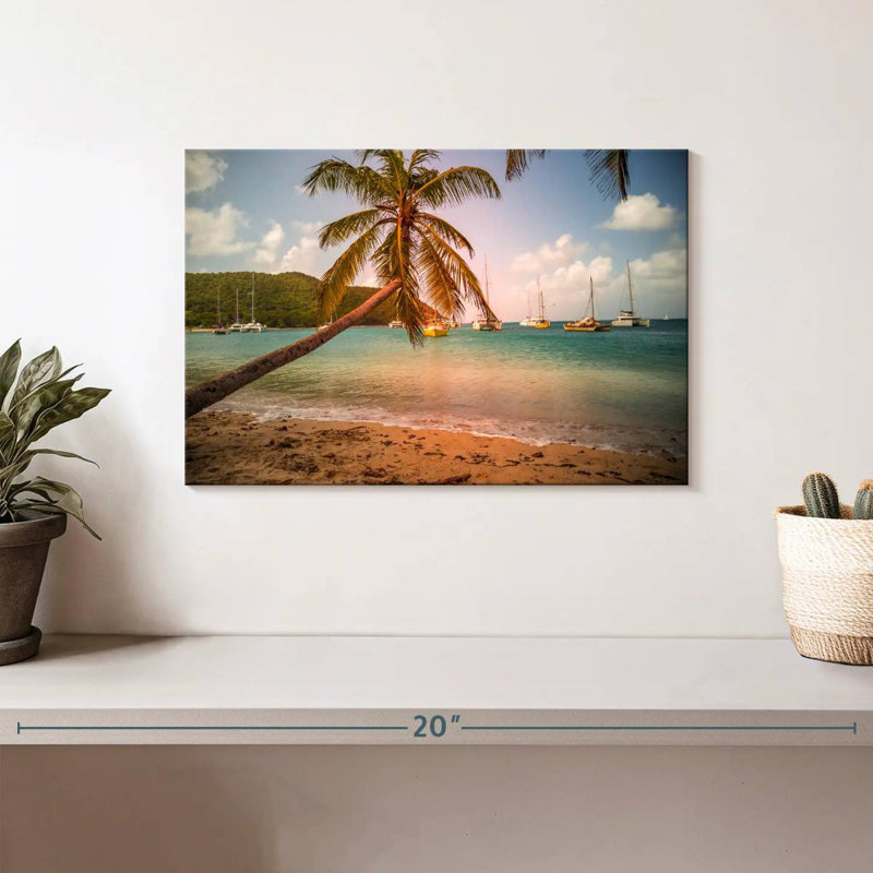 Tobago Cays Gillard Palm, H 8 po x l 12 po