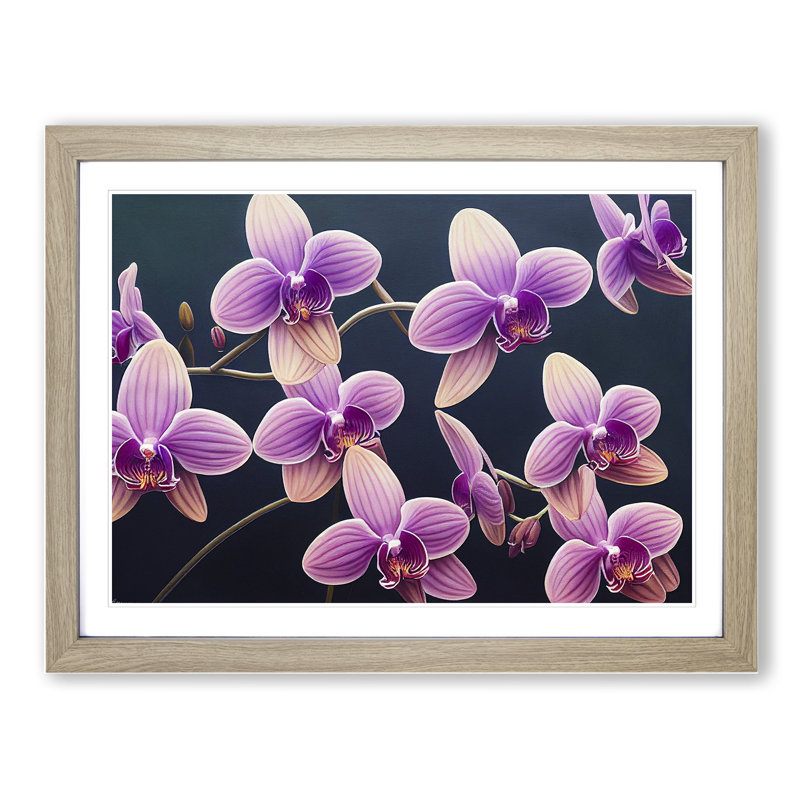 Enigmatic Orchid Flowers - Single Picture Frame Print, 34cm H x 46cm W x 2cm D, Oak Framed