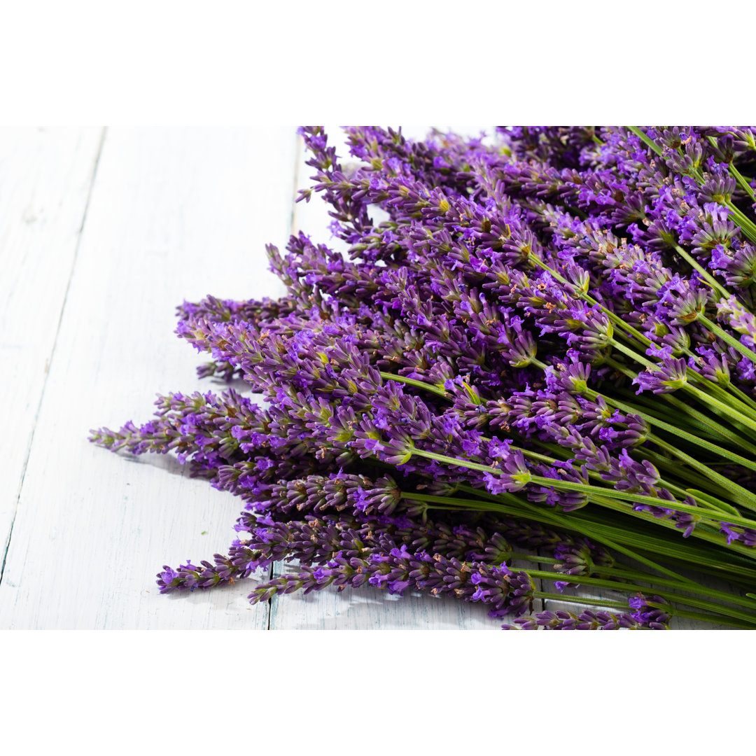 Leinwandbild Lavender Bunch