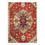 Oriental Area Rug in Rust