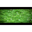 Pierre de grand jardin RTS Home Accents-59754101