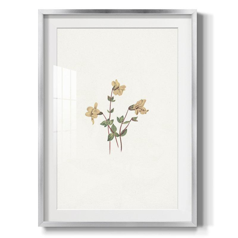 Imprimé floral rétro CLXVI - impression encadrée, Argent