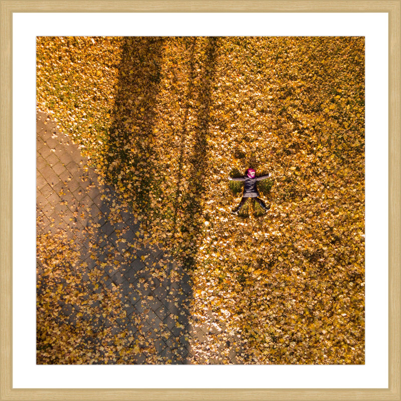 Karolis Janulis - Single Picture Frame Print, 51 cm H x 51 cm W x 3.81 cm D