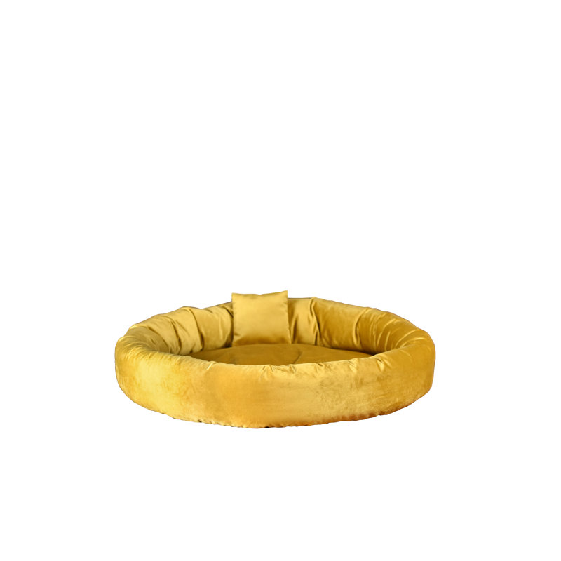 Polyester Pet Bed, Medium (68cm W x 68cm D x 18cm H), Mustard