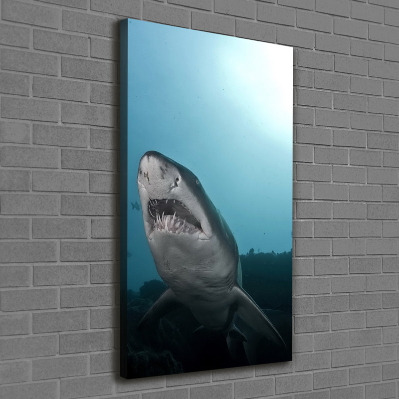 Big Shark - Wrapped Canvas Print