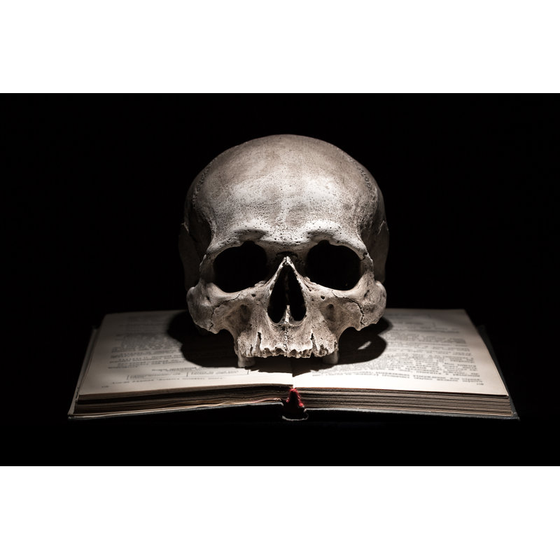 Human Skull On Book - Wrapped Canvas Print, 30cm H x 46cm W x 3.8cm D