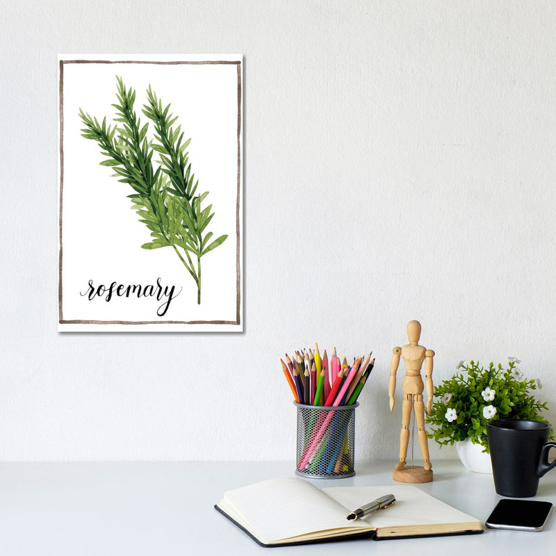 Watercolour Herbs V - Wrapped Canvas Print, 30.48cm H x 20.32cm W x 1.91cm D