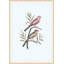 Nesting Navigators Blue 4 Print-779769509