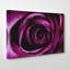 Purple Rose Photographic - Wrapped Canvas-19041287