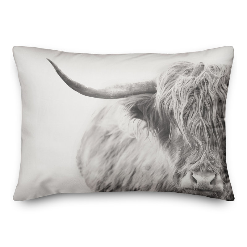 Coussin intérieur / extérieur Highland Cow, H 14 po x l 20 po, Rectangle