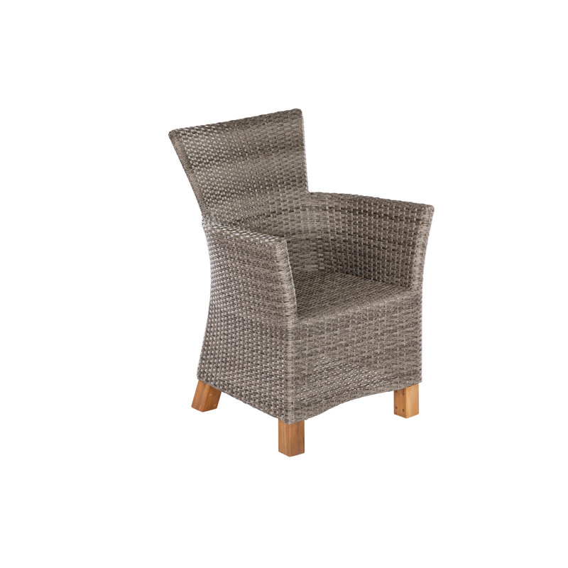 Ashmita Patio Dining Armchair with Cushion