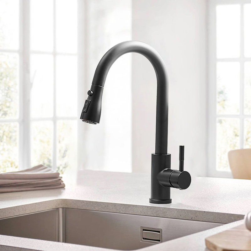 Robinet de cuisine, Noir mat