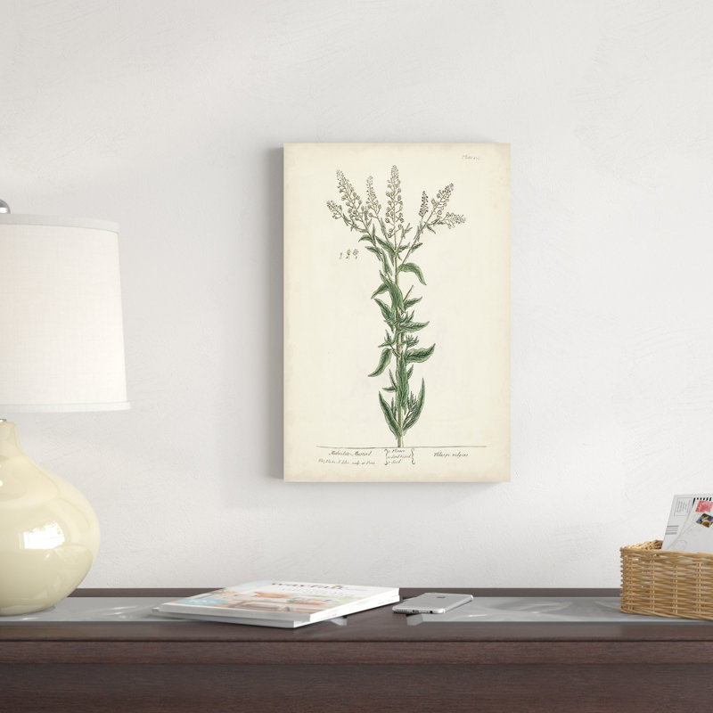 Herbes antiques IV, H 18 po x l 12 po