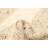 Sienna Tan Rug 5'1" x 8'0"