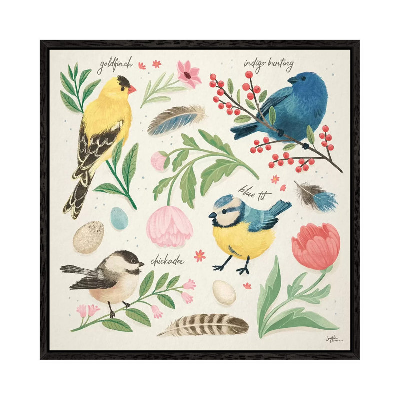 Bird Study II by Janelle Penner - Print on Canvas, 45.72cm H x 45.72cm W x 3.81cm D, Black Framed