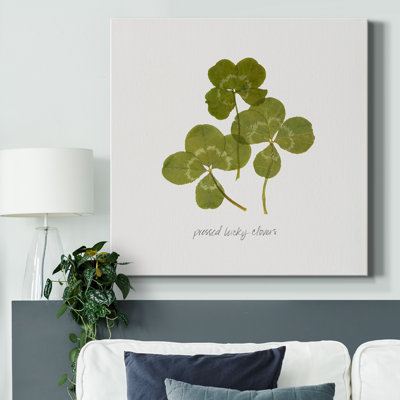 " Pressed Clover II "