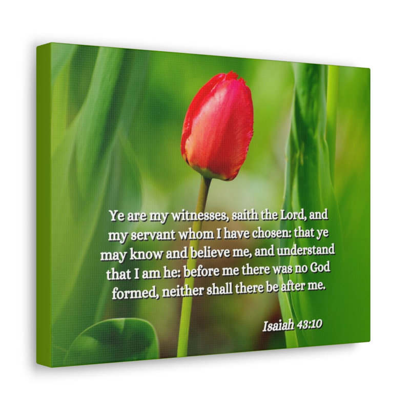 I Have Chosen Isaiah 43:10 - Wrapped Canvas Print, 46cm H x 61cm W