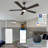 Lacurtis 56'' Ceiling Fan with LED Lights