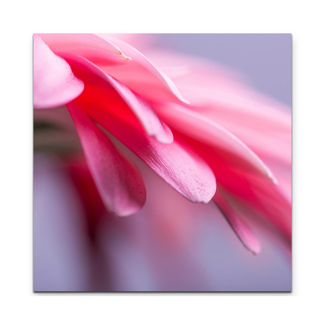 Leinwandbild Rosa Gerbera – Nahaufnahme