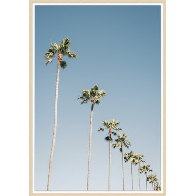 California Shade
