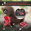 Collapsible Pet Carrier-251882349