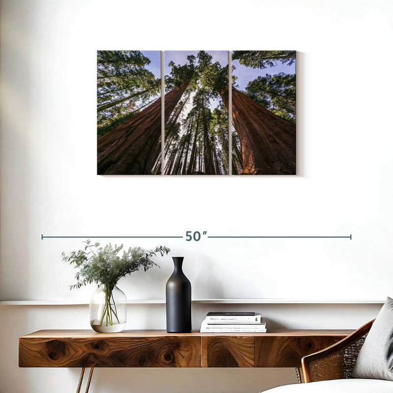 Sequoias From Below, 20" H x 33" W