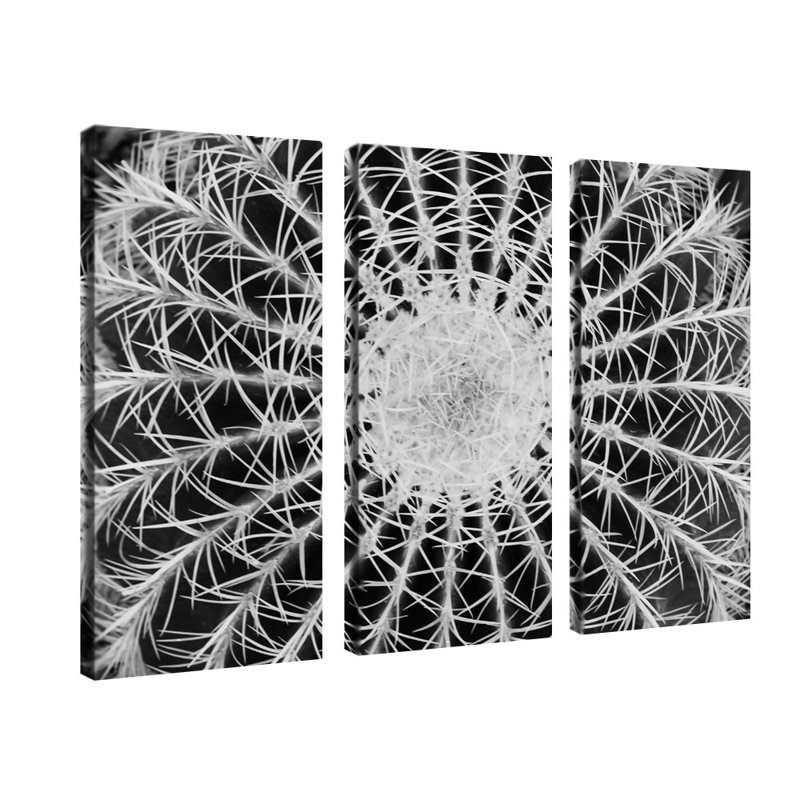 "Barrel Cactus" par Kurt Shaffer, ensemble de 3 reproductions de photos sur toiles tendues