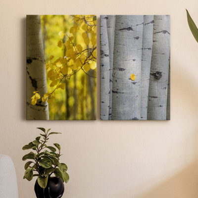 " Aspen Highlights " 2 - Pieces