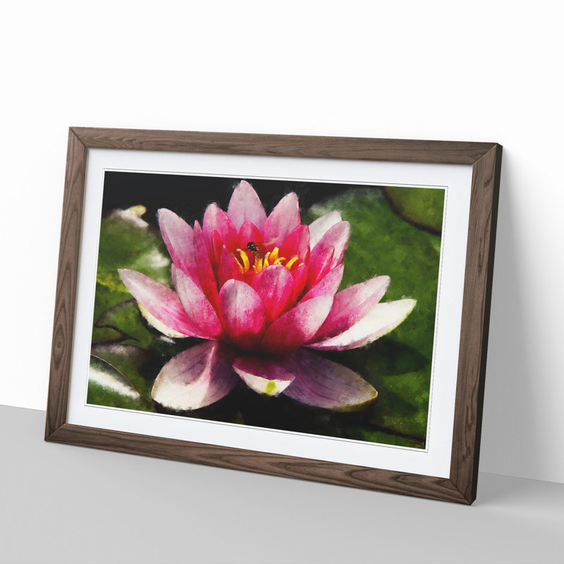 Pink Water Lily Flower Vol.3 - Picture Frame Graphic Art, Walnut Framed, 27cm H x 36cm W x 2cm D