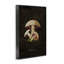 Art rétro de giclée champignon Portobello par Tina Higgins Designs, Inc.-1566140153-1566140154