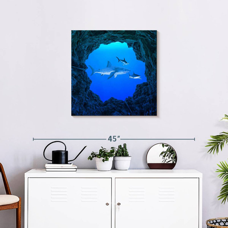 Brampt Sharks Ocean Hole, 24" H x 24" W