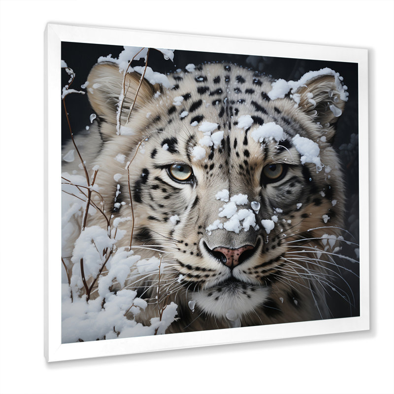 Tigre blanc en hiver IV - impression, H 30 po x l 30 po x P 1 po, Cadre photo blanc