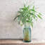 Friedell Diamond Recycled Glass Table Vase