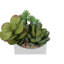 Plante artificielle