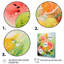 «Summertime Watermelon Fruit 1 - Fruits», art mural-1547213499