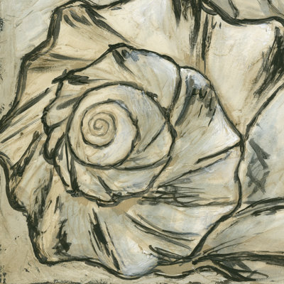 Seashell Spiral I - Wrapped Canvas Painting
