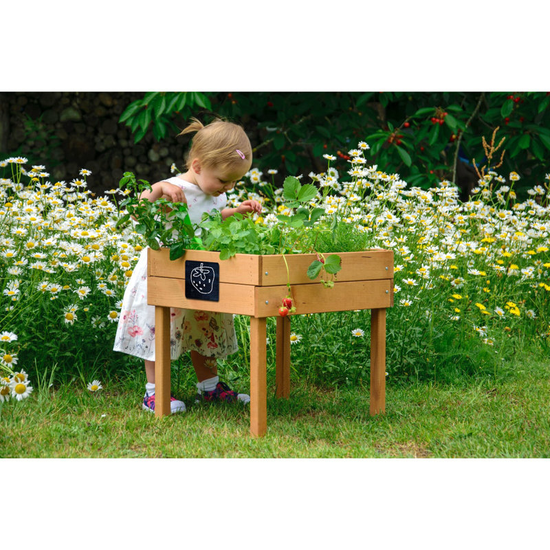 Aakiyah Wood Elevated Planter, Brown