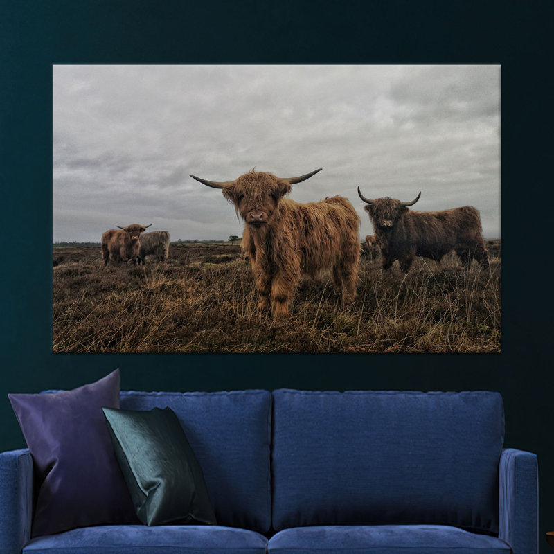 Vache Highland, impression sur toile, 1P, H: 59,1 x l: 110,2 pouces