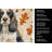 Parti Cocker Spaniel Heirloom Fall Kitchen Towel-1218231436