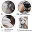 Yorkshire Terrier, portrait curieux-1169797449-1169797451