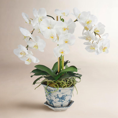Orchid Floral Arrangement