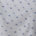 Blue Starfish Treasure