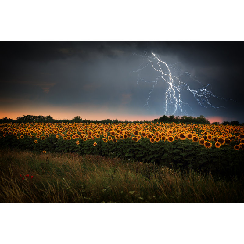 BalazsKovacs - Wrapped Canvas Print, 30cm H x 46cm W x 3.8cm D