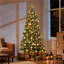 Fir Christmas Tree-900500789