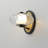 Aliesa LED Armed Sconce