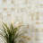 Ebonerra 12 in. x 12 in. Matte Porcelain Mosaic Floor and Wall Tile