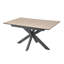 Deebora Extension Dining Table-797475902-797475896