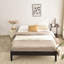 Lit Niven-887957372-887957253