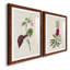 Pretty Pink Botanicals VI - Ensemble de 2 reproductions de cadres photo-1481787813-1481787815