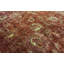 Wool Floral Area Rug in Rust